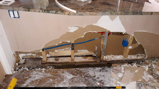 Best Local water damage restoration  in Kekaha, HI