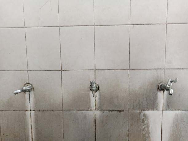 Reliable HI Water damage restoration Solutions
