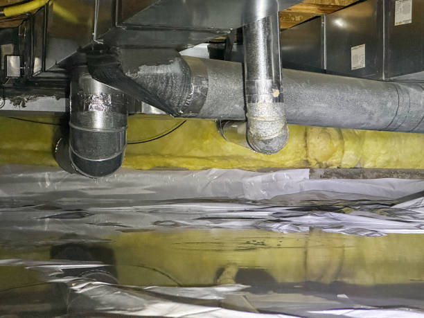 Reliable HI Water damage restoration Solutions